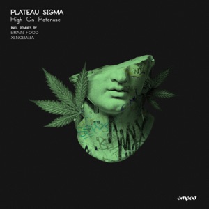 High on Potenuse - Single