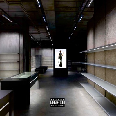 idkwhatyoudoing (feat. Beacher Welle & StarAmir!) - Single