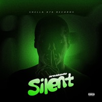 Silent - Single - Areakode
