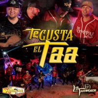 Te Gusta el Taa - Single - Loz Kompaz Del Rafa & Los Tramposos