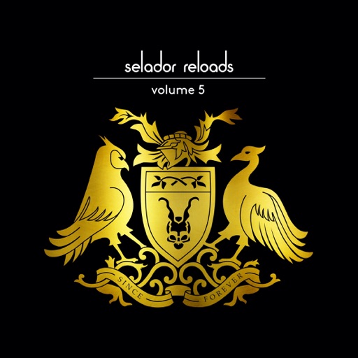 Selador Reloads, Vol. 5: Robert Babicz x Timo Maas - Single by Robert Babicz