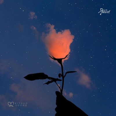 Nafi (feat. Kitoko Sound) - Single