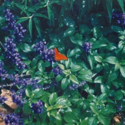 If You Wanted To - Single