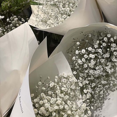 My princess speedup - Single