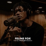 Feline Fox (Midnight Sessions) [Live] - EP
