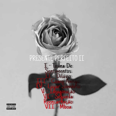 Presente Perfeito Ii