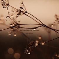 Remembrance - Single - Brightsand & Gustav Davidsson