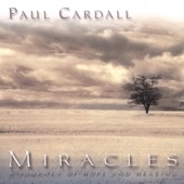Miracles - A Journey of Hope & Healing artwork