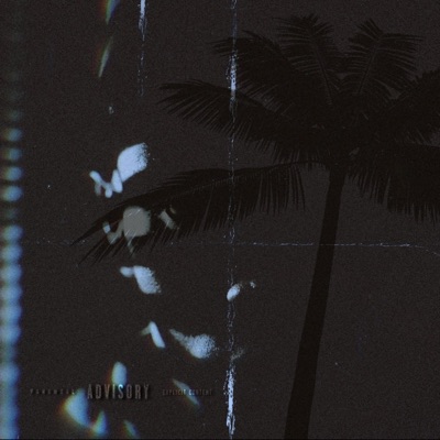 Real Recognize Real RIII - Single