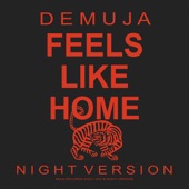 Feels Like Home (Night Version) artwork