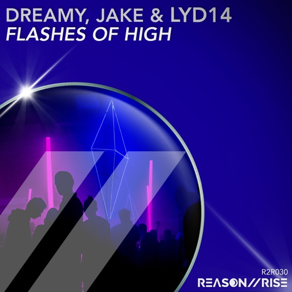 Flashes of High - Single