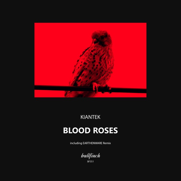 Blood Roses - Single