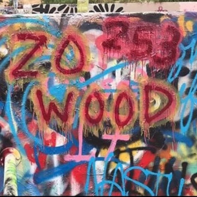 LONG LIVE ZO - Single