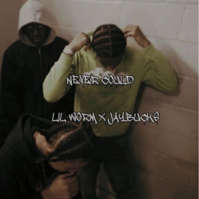 Never Could (feat. JayBucks) - Single