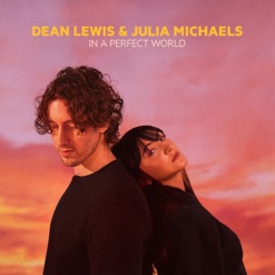 IN A PERFECT WORLD cover art