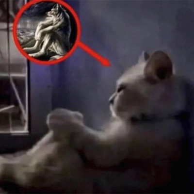 no se siente igual - Single