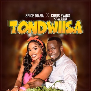 Tondwiisa (feat. Spice Diana)