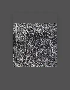 聆聽 Dead Painters、觀看音樂影片、閱讀小傳、查看巡演日期等！