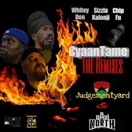 Cyaan Tame (feat. Chip Fu & Sizzla) [Navi the North Remix] Whitey Don & Navi the North