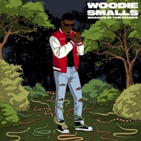 Snakes in the Grass - Single - Woodie Smalls
