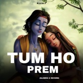 Tum Prem Ho (Slowed & Reverb) artwork