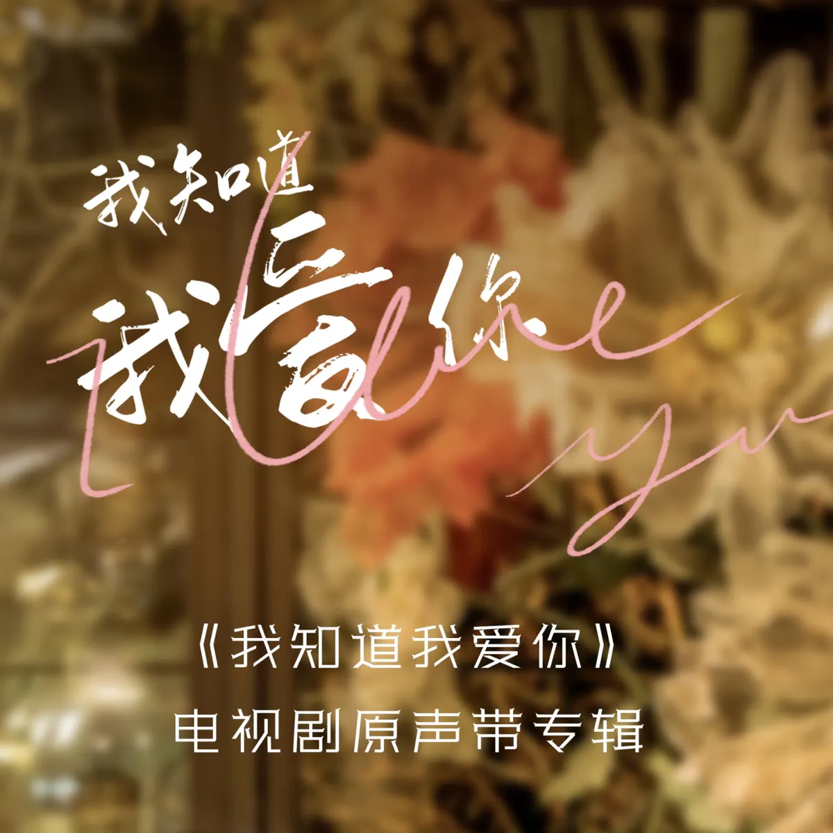 韓紅, 鞠紅川, 胡維納 & 王梓琼 - 《我知道我愛你》電視劇原聲帶 - Single (2024) [iTunes Plus AAC M4A]-新房子