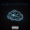 Serotonina (feat. Camps & Benny GZM) - Gazamob lyrics