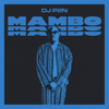 Zamo - DJ P2N & Yvon Yusuf