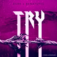 Try (feat. Benatovic) - Single - D$RK