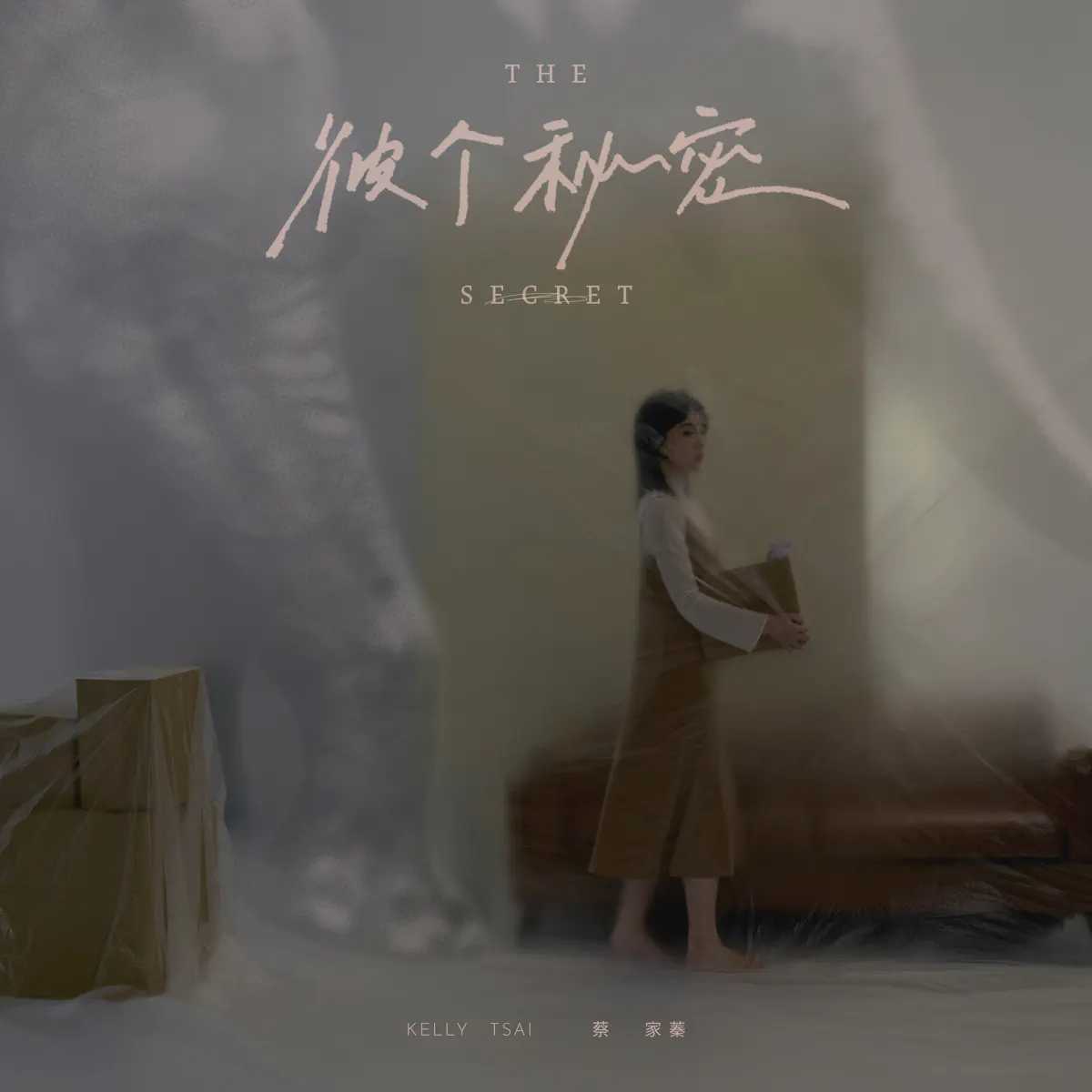 蔡家蓁 - 彼个秘密 (2023) [iTunes Plus AAC M4A]-新房子