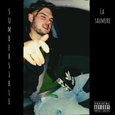 Submersible - Single