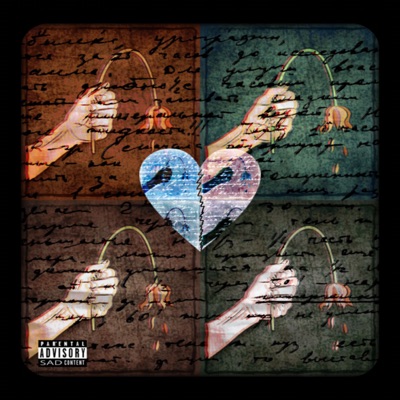 Animadversión - Single