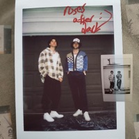 Roses After Dark - Single - 3Leaf