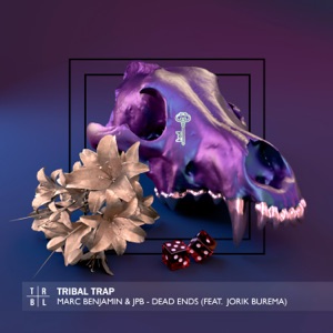 Dead Ends (feat. Jorik Burema) - Single