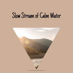 Slow Stream of Calm Water
