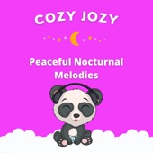 Peaceful Nocturnal Melodies artwork