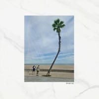 Portal (feat. FERGUS SOLLIS & WILL REDDY) - Single - SAAGAR