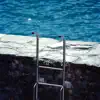 Two Fishes