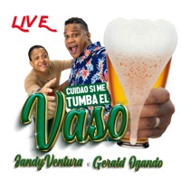 Cuidao Si Me Tumba El Vaso (feat. Gerald Ogando) [En vivo] [En vivo] - Single - Jandy Ventura
