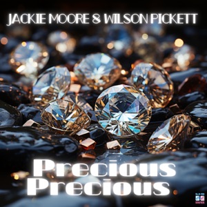 Precious Precious ((7" Mix) (Slowed + Sped up + Reverb)) - Single