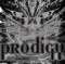 Charly (Original Mix) - The Prodigy lyrics