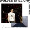 Wolves Still Cry - Lawrence Rothman lyrics