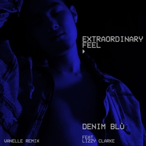 Extraordinary Feel (feat. Lizzy Clarke) [Vanelle Remix]