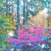 M1n3 - Single - axelsson & KawaiiStacy