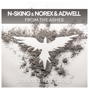 From the Ashes - Single