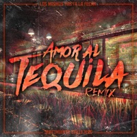 Amor Al Tequila (Remix) (feat. Sentimiento Callejero) - Single - LMHLF Oficial