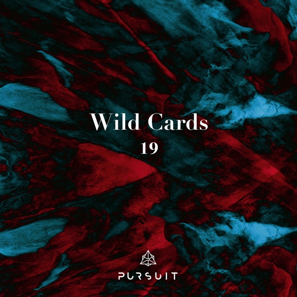 Wild Cards 19 - Single