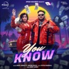 You Know (feat. Shipra Goyal) - Single