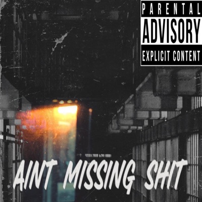 Missing Shit ' - Single