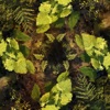 David Chiron Chiron's Secrets (feat. Jeff Thomas Potts) [David Last Remix] Chiron's Secrets (David Last Remix) [feat. Jeff Thomas Potts] - Single